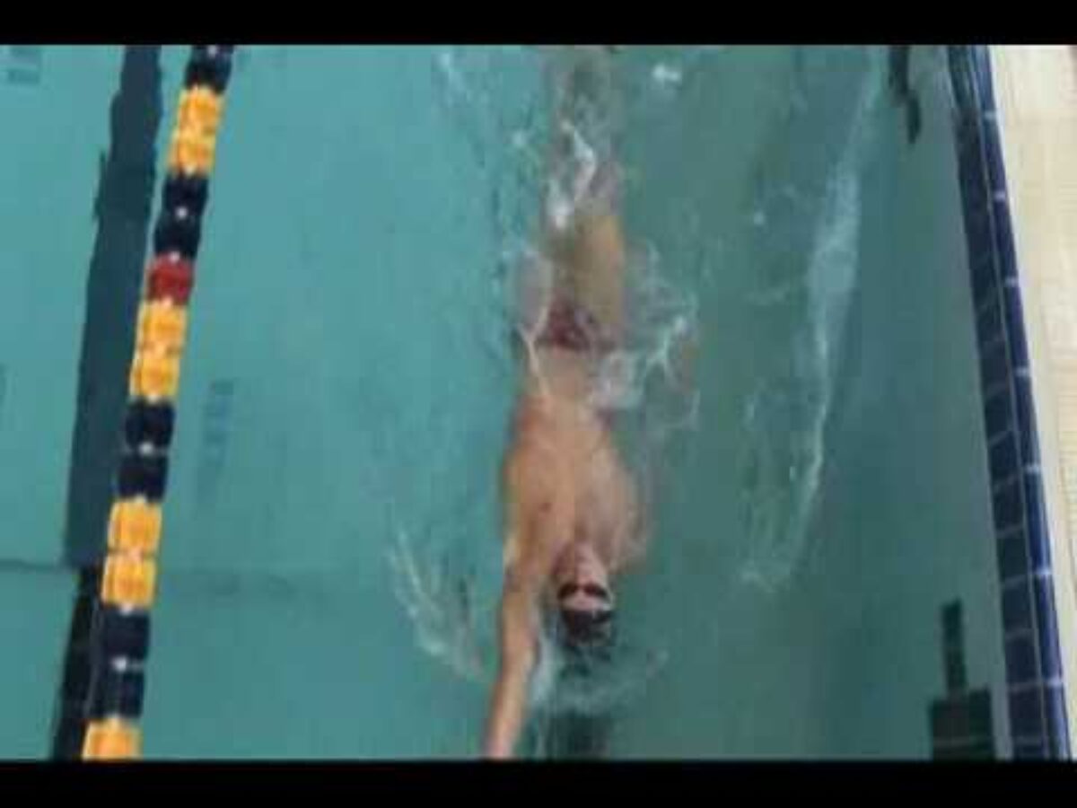 背泳ぎの泳ぎ方のコツ ストローク編 Swim Media