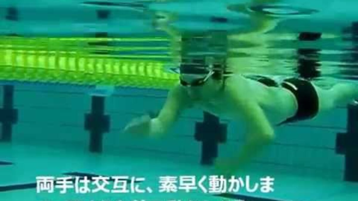 犬かきスカーリングで速くなれる Swim Media