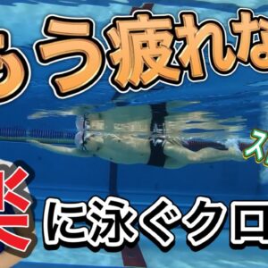 【水泳初心者向け】クロールを楽に泳ぐための練習法4選。