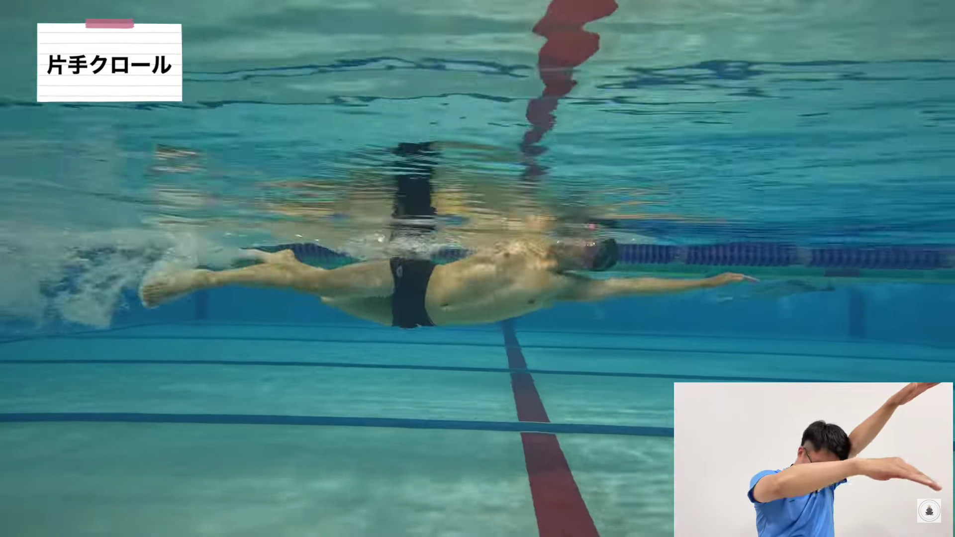 【水泳】正しいクロールの呼吸動作を習得する練習法4選！ ｜ swim media